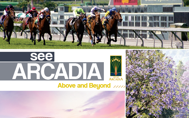 Arcadia Above and Beyond Brochure Cover